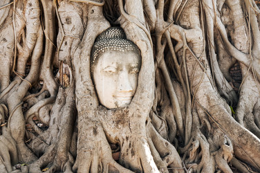 Similar image 22632884