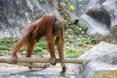 Similar image 22632899