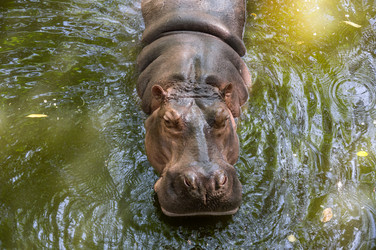 Similar image 22632900