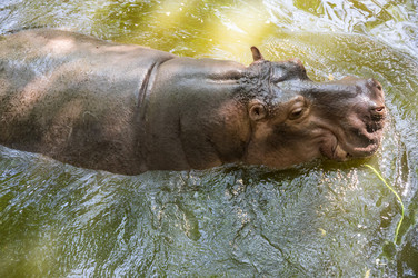 Similar image 22632903