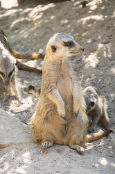 Similar image 22632905