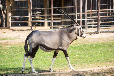 Similar image 22632907