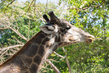 Similar image 22632913