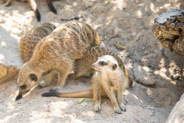 Similar image 22632914