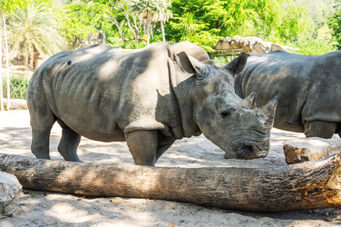 Similar image 22632915