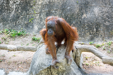 Similar image 22632919