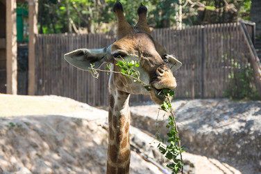 Similar image 22632932