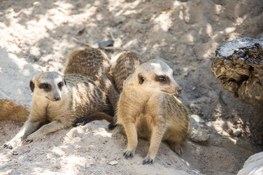 Similar image 22632938