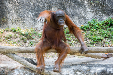 Similar image 22632939