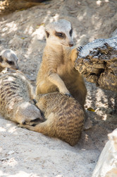 Similar image 22632944