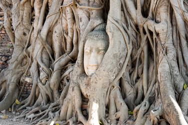 Similar image 22632947