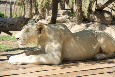 Similar image 22632950