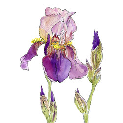 Similar image 22635143