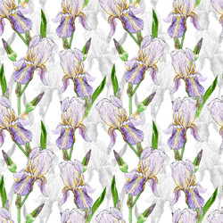 Similar image 22635144