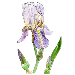 Similar image 22635147