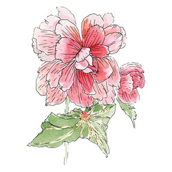 Similar image 22635157