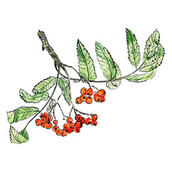 Similar image 22635172