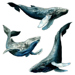 Similar image 22635216