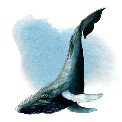 Similar image 22635222