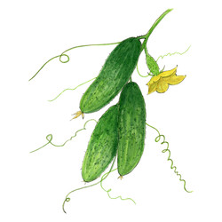 Similar image 22635224