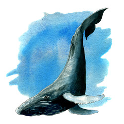 Similar image 22635232