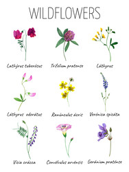 Similar image 22635237