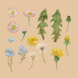 Similar image 22635239