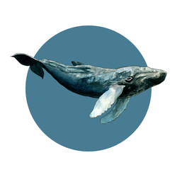 Similar image 22635117