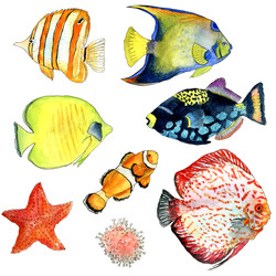 Similar image 22635122