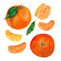 Similar image 22635126