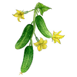 Similar image 22635128