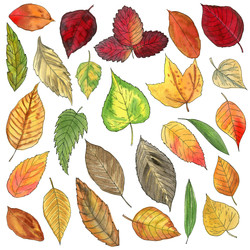 Similar image 22635129