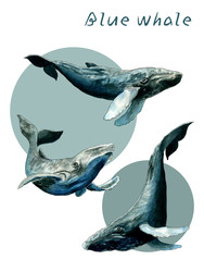 Similar image 22635130