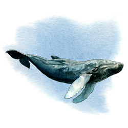 Similar image 22635133