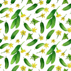 Similar image 22635137