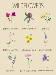 Similar image 22635140