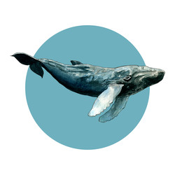 Similar image 22635155