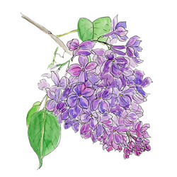 Similar image 22635156