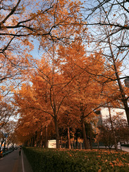 Similar image 22631855