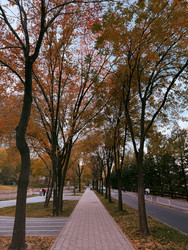 Similar image 22631856