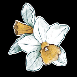 Similar image 22631872