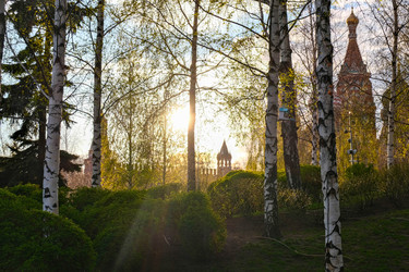 Similar image 22635364