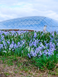 Similar image 22635365