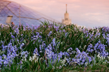 Similar image 22635367