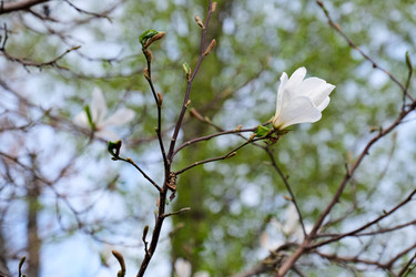 Similar image 22635368