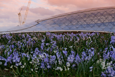 Similar image 22635373