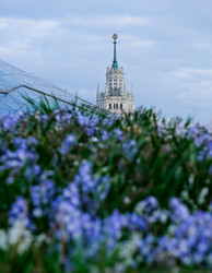 Similar image 22635374