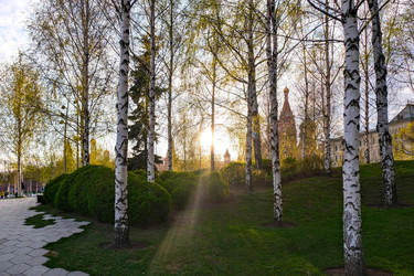 Similar image 22635396