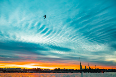 Similar image 22632041