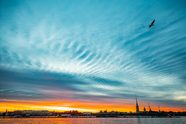 Similar image 22632048